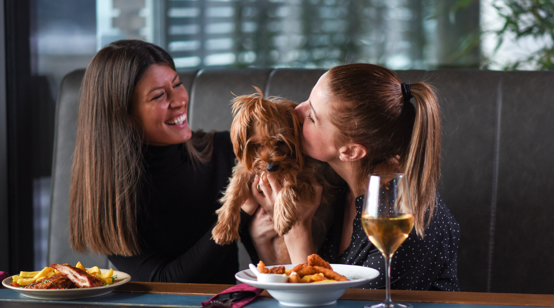 How pet-friendly restaurants boost popularity and increase revenue